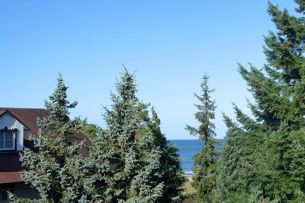 Inselstrand Inselstrand 1320 제바트헤링스도르프 외부 사진
